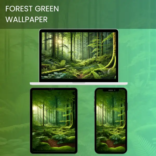 Serene forest green wallpaper with sunlight filtering through tall trees and lush vegetation.600v2