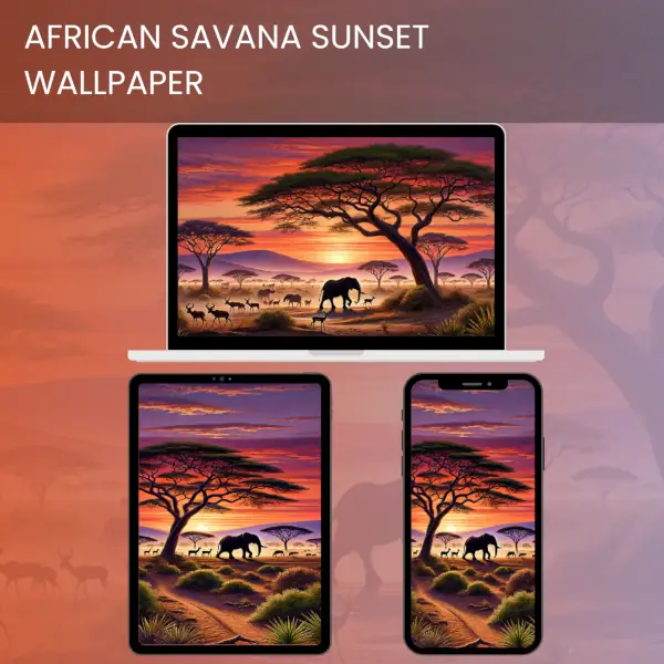 African savanna sunset wallpaper with elephants and antelopes in the wild nature.600v2